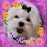 Judy Chickis - @chickisjudy - Instagram