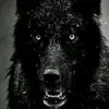 Jodyclapper - @jodyclapper - TikTok