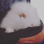 A_coelha_Judy - @judy_coelha - Instagram