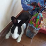 Judy Coelha - @judycoelhacenoura - Instagram