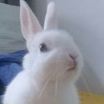 Judy - @judy.coelhinha - Instagram