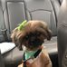 Judy Coffin - Facebook