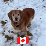 Judy Conrad - Facebook