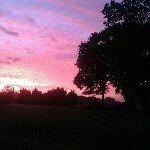 Judy Corey - @goob620 - Instagram
