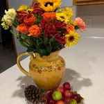 Judy Rottier Correll - @judyrottier - Instagram