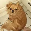 Judy Coy - @judy.coy54 - TikTok
