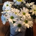Judy Coy - @coyscountryprimitive - Instagram