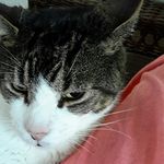 Judy Coyle - @coylejudy - Instagram