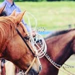 Judy Coyne - @judycoyne6 - Instagram