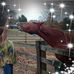 Judy Crain - Facebook