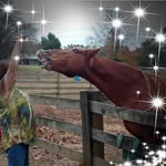 Judy Crain - @nudyjudy4765 - Instagram