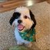 Judy Crain - Facebook