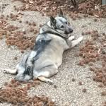 Judy Crain - LRL - @lrlassoc - Instagram