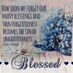 Judy Creech - @vivab1031 - Instagram