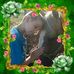 Judith Cribbs - Facebook