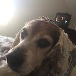 Judy Crouch - @judy_crouch - Instagram