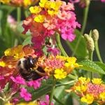 Judy Crouch - @crouch9029 - Instagram