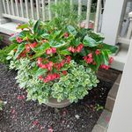 judy crouch - @crouch966 - Instagram