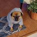Judy Crouch - Facebook