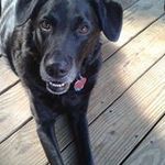 Judy Cusick - @twinkles1130 - Instagram