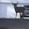 judy suzick - @judy.suzick - TikTok