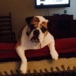 Judie Custer - @jecuster - Instagram