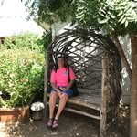 Judith Custer - @custer131313 - Instagram