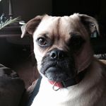 Judy Davy - @davyjudy - Instagram
