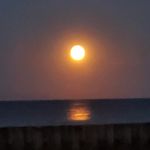 Judy Deane - @judy.deane.54 - Instagram