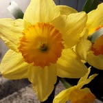 Judy Deel - @judy.deel.9 - Instagram