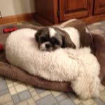 Judy Dell - @judy.dell.52 - Instagram