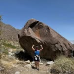 Judy Dellera Guzzardo - @judydelleraguzzardo - Instagram