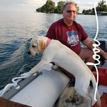 Judy Denson Linge - @deda1950 - Instagram