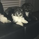 Judy de Vries- van Nes - @judydevries2308 - Instagram