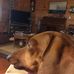 Judy DeVries - Facebook