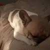 Judith Dirks - @judith.dirks - TikTok