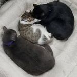 Judy Ann - @judy.dirks.33 - Instagram