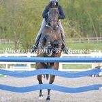Judy Dodd - @judy.dodd.92 - Instagram