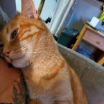 Judy Dombrowski - @dombrowskijudy - Instagram