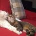 Judy Dombrowski - Facebook