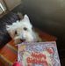 Judy Dorton - Facebook