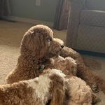 Judy Doty - @judydoty1944 - Instagram