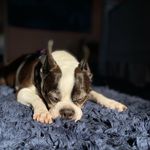 Judy Doty Pohodich - @judydotypohodich - Instagram