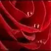 judydoty295 - @judydoty295 - TikTok