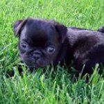 Judy Dover - @ljdover5 - Instagram