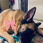Judy Hintz Dover - @judydover - Instagram