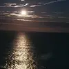 judydowneyshepher - @judydowneyshepher - TikTok