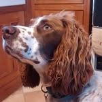 Judy Downs - @judy.c.downs - Instagram