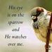Judy Downs - Facebook