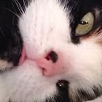Judy Duff - @duffjudy - Instagram